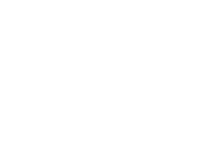 The Petite Porter